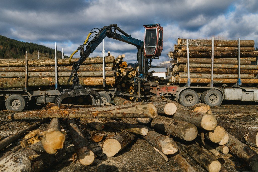 Forestry and timber freight