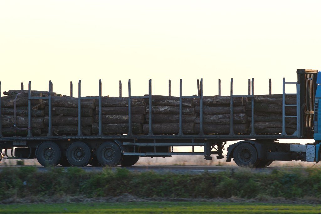 Timber carrier trailer moving a secured forestry load