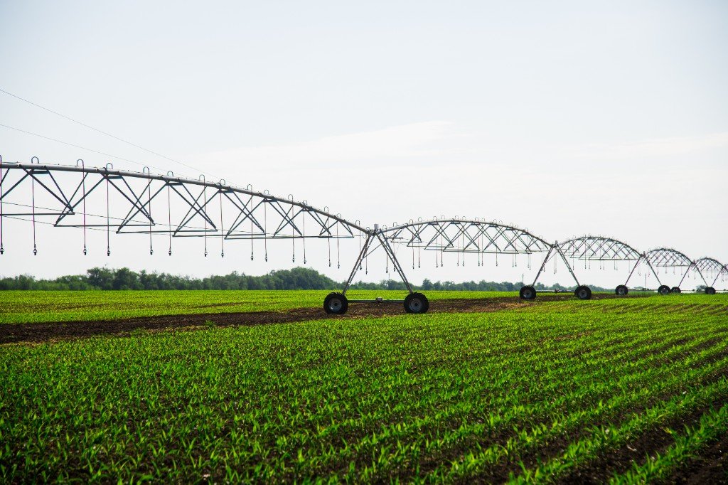 irrigation pivot field