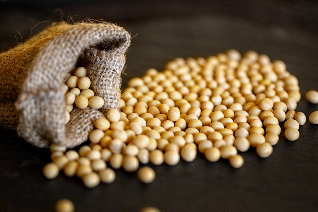 soya beans sack